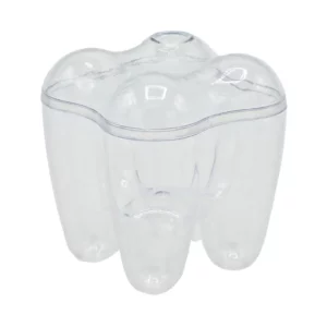 Clear Tooth Shape Box